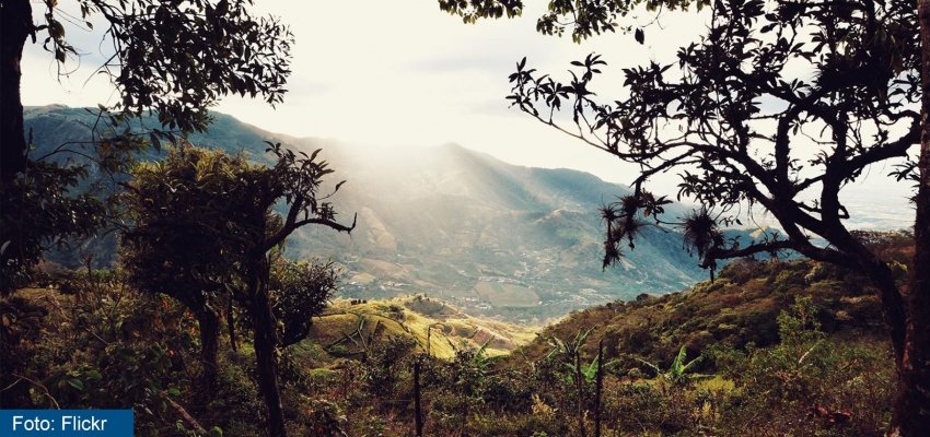 El Acuerdo de Escazú Luces y sombras de la política medioambiental regional