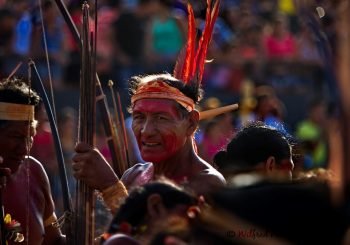 BRASIL: AMENAZAS Y RIESGOS DE RETROCESOS EN LOS DERECHOS TERRITORIALES DE LOS PUEBLOS INDÍGENAS