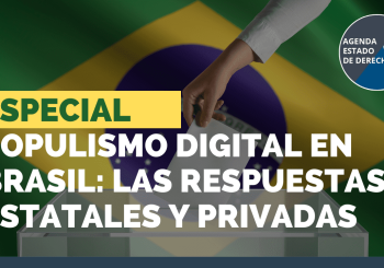 Populismo Digital en Brasil: las respuestas estatales y privadas