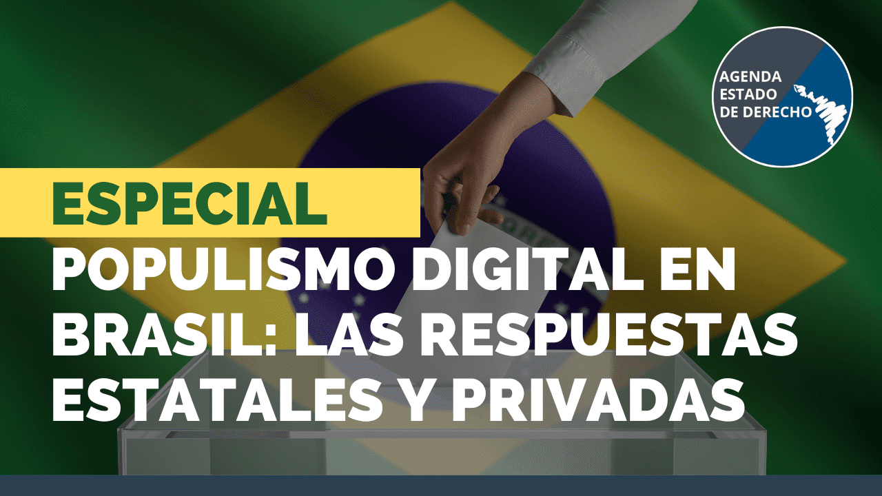 Populismo Digital en Brasil: las respuestas estatales y privadas