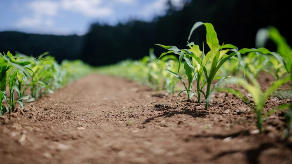 ras la visita del Relator Especial de la ONU en sustancias tóxicas y derechos humanos a Paraguay, ¿Cuáles son los retos y desafíos que enfrenta el país en la materia?