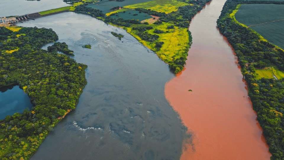 La gobernanza de la conservación: simbiosis entre naturaleza y cultura