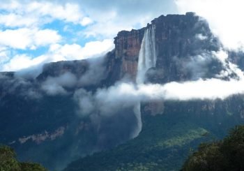 Voltear la mirada hacia los Derechos Ambientales: Venezuela