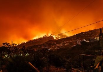 Mega incendios forestales en Chile y derechos humanos: un debate ausente