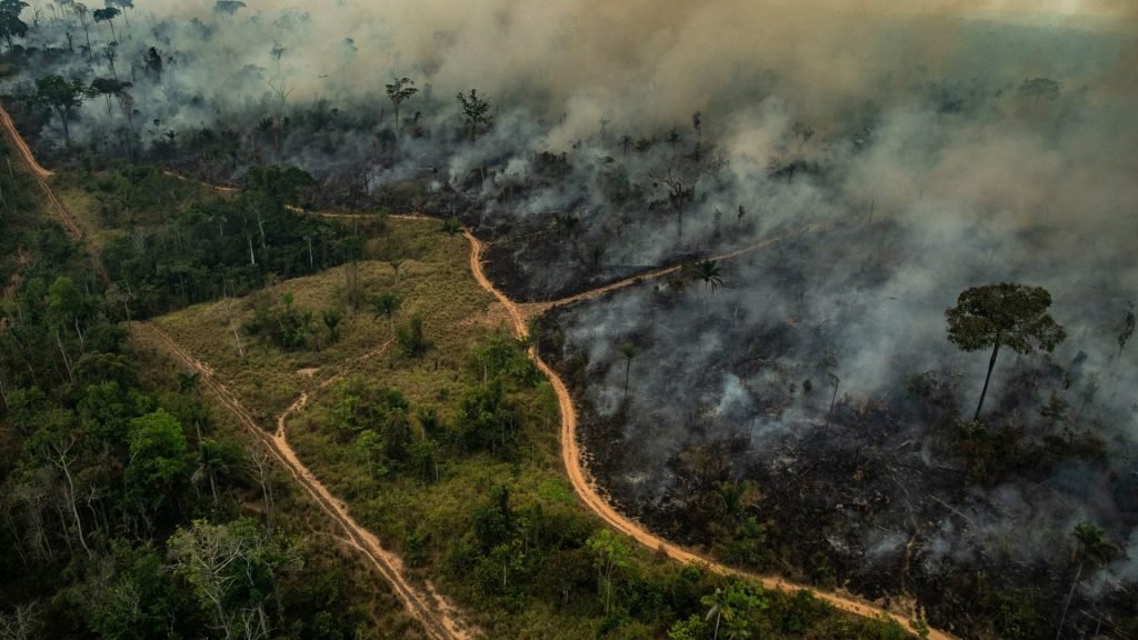 Entrevista a Viviana Krsticevic, sobre la solicitud de Opinión Consultiva a la Corte Interamericana de Derechos Humanos, relativa a emergencia climática y derechos humanos