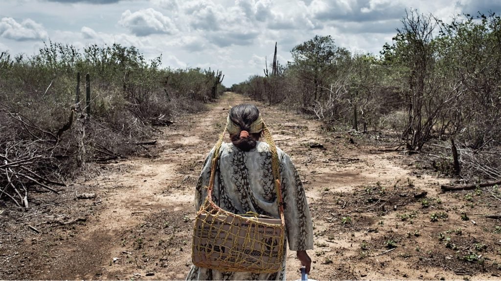 El derecho a la tierra: nuevas discusiones desde el sistema de Naciones Unidas