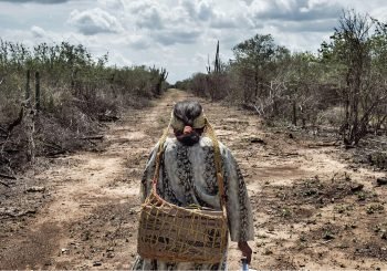 El derecho a la tierra: nuevas discusiones desde el sistema de Naciones Unidas